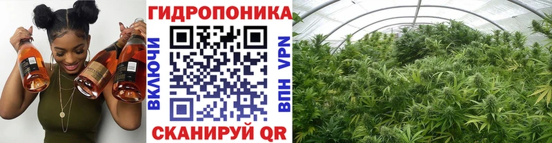 Шишки марихуана White Widow  Таганрог 